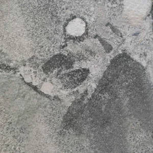 PEBBLE BEACH Lankstus akmuo — natūralus akmuo
