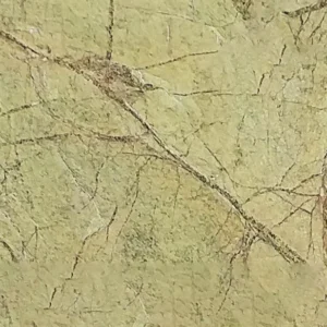 RAINFOREST GREEN BRIGHT Lankstus akmuo — natūralus akmuo